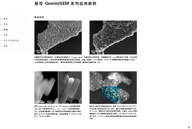 CN_40_011_095_GeminiSEM_rel_3_1-15