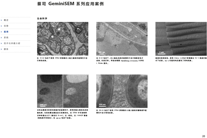 CN_40_011_095_GeminiSEM_rel_3_1-20