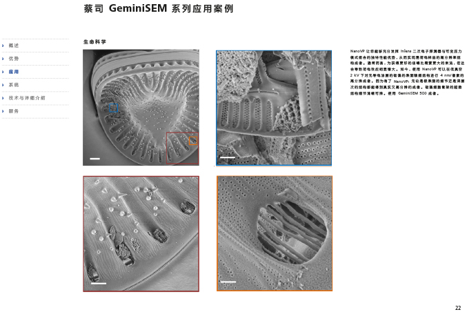 CN_40_011_095_GeminiSEM_rel_3_1-22