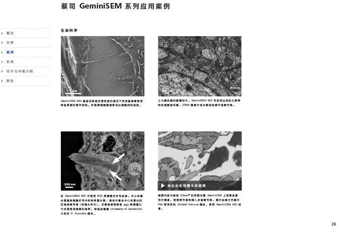 CN_40_011_095_GeminiSEM_rel_3_1-26